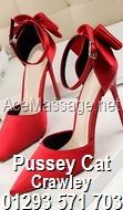 PUSSEY CAT MASSAGE PARLOUR CRAWLEY SUSSEX RH10